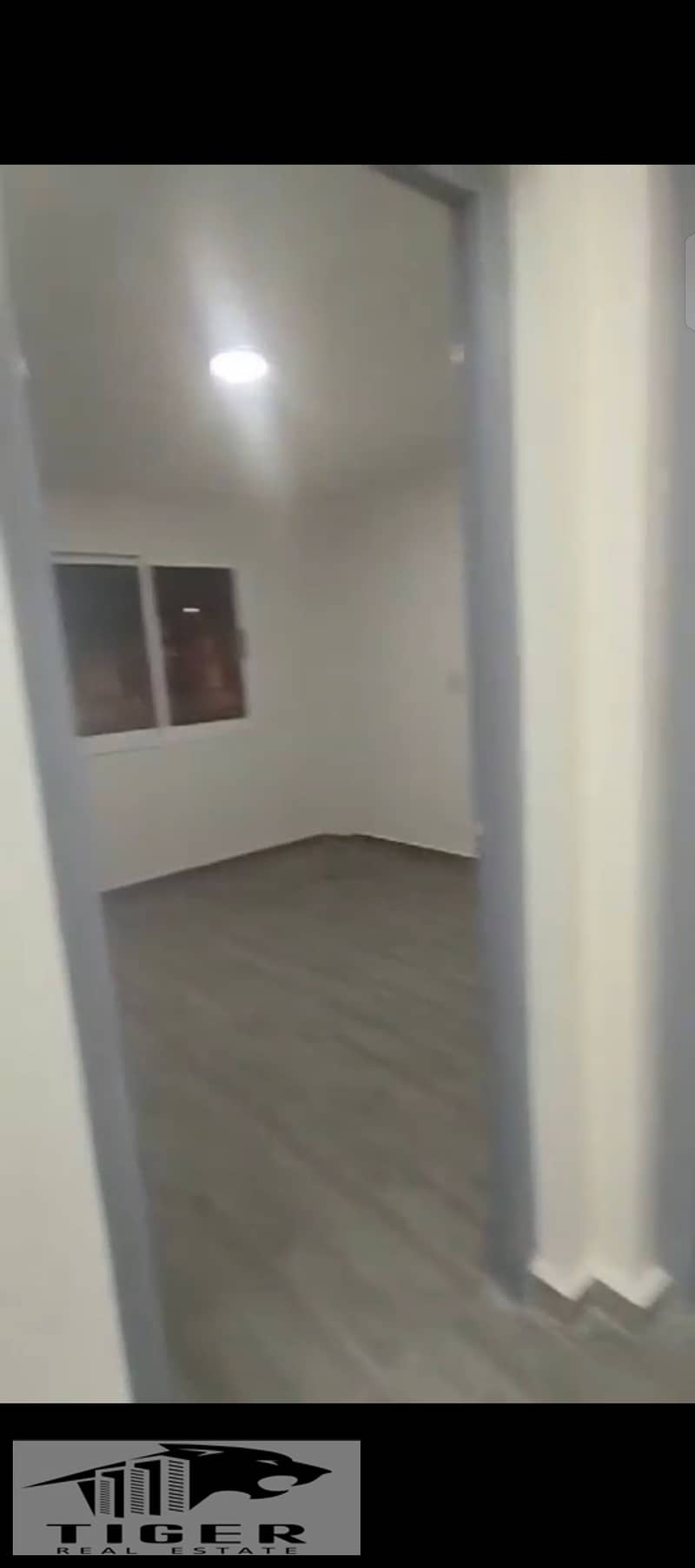 4 213096. jpg