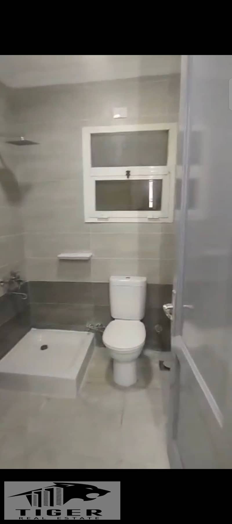 5 213095. jpg