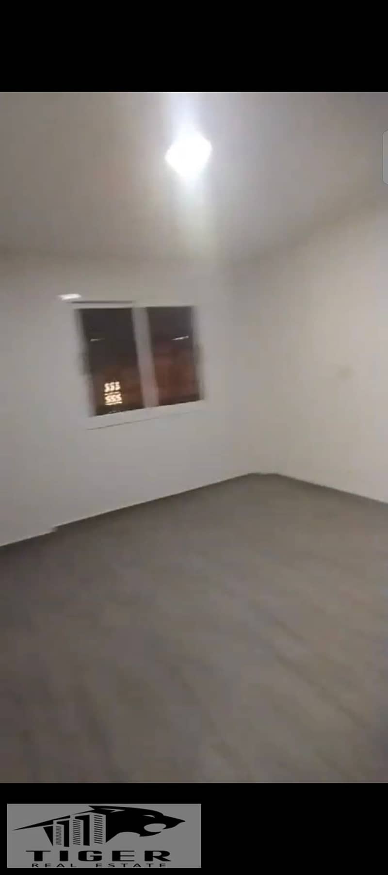 6 213097. jpg