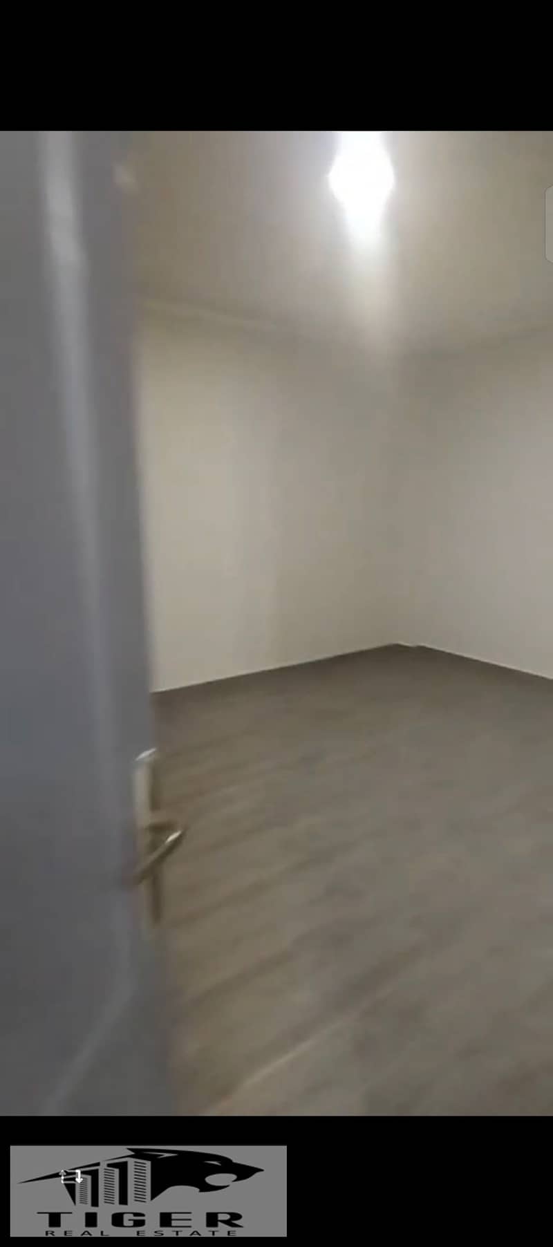 7 213098. jpg