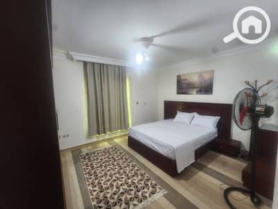 3 Bedroom Flat for Rent in Al Manial, Cairo - 462601. jpg