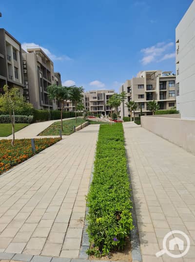2 Bedroom Apartment for Rent in New Cairo, Cairo - 310587551_1677132286014678_326570704563029478_n. jpg