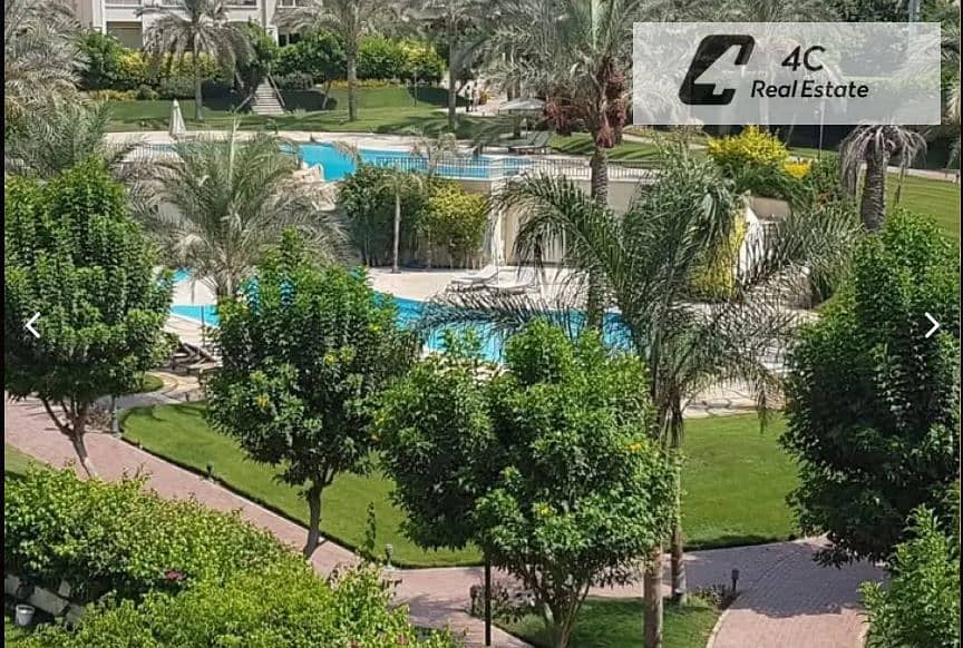 8 patio oro 5. JPG