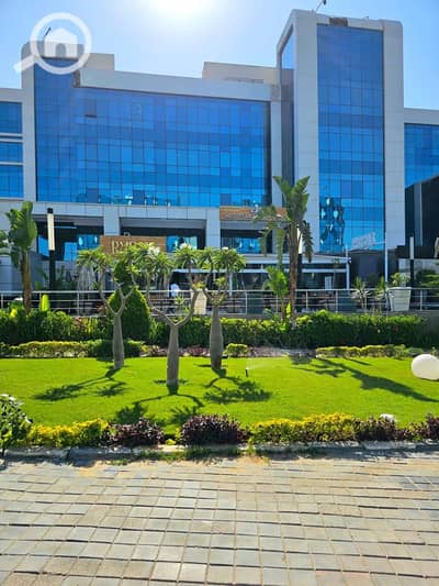 مکتب  للايجار في القاهرة الجديدة، القاهرة - WhatsApp Image 2026-06-18 at 11.36. 23 PM. jpeg