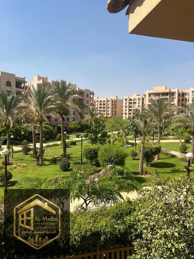 فلیٹ 3 غرف نوم للايجار في القاهرة الجديدة، القاهرة - photo_5996864648893894221_y (1). jpg فلیٹ 3 غرف نوم للايجار في القاهرة الجديدة، القاهرة - photo_5996864648893894221_y (1). jpg