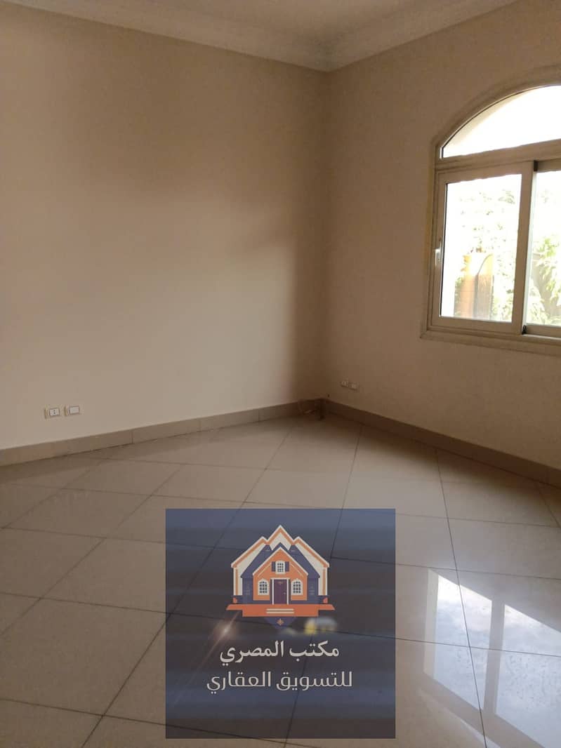 5 233587. jpg