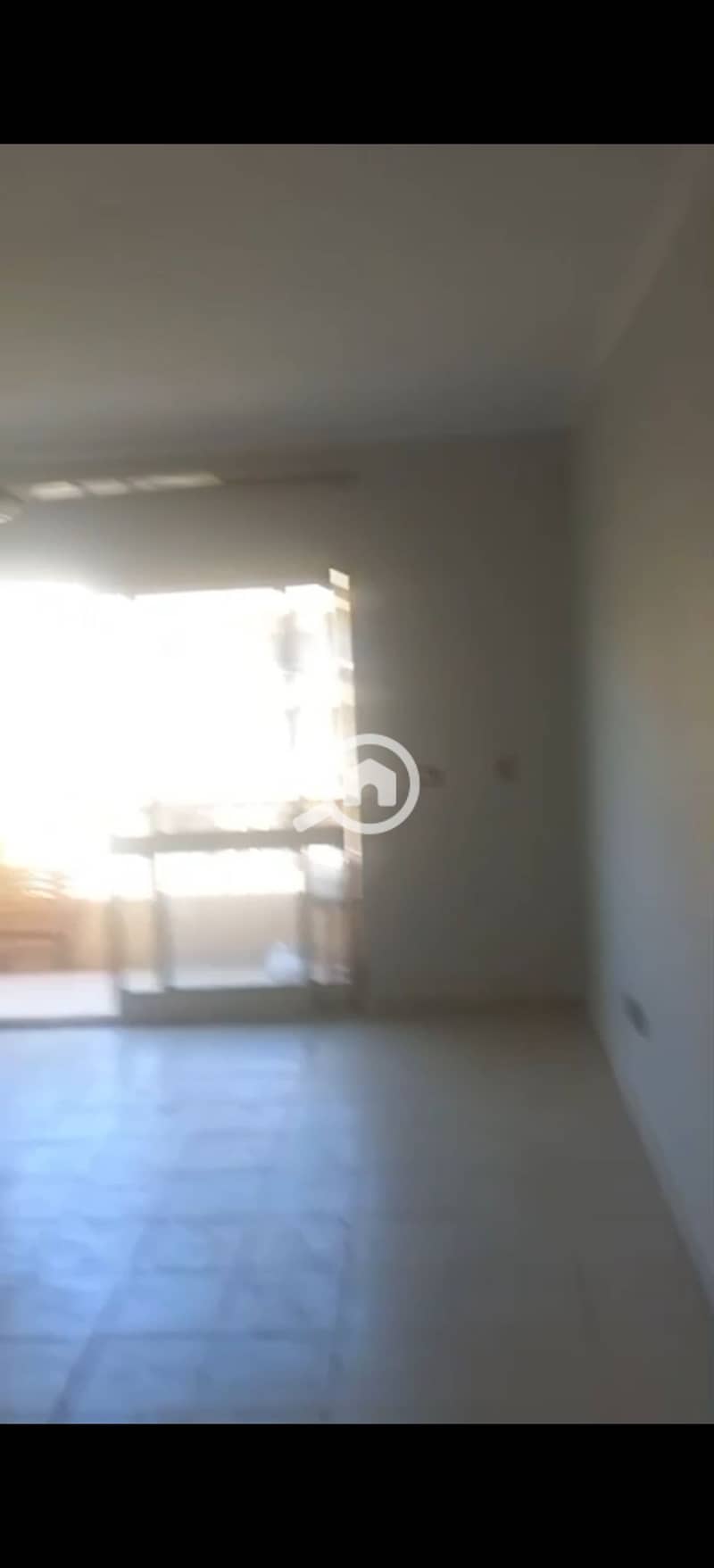 2 294368. jpg