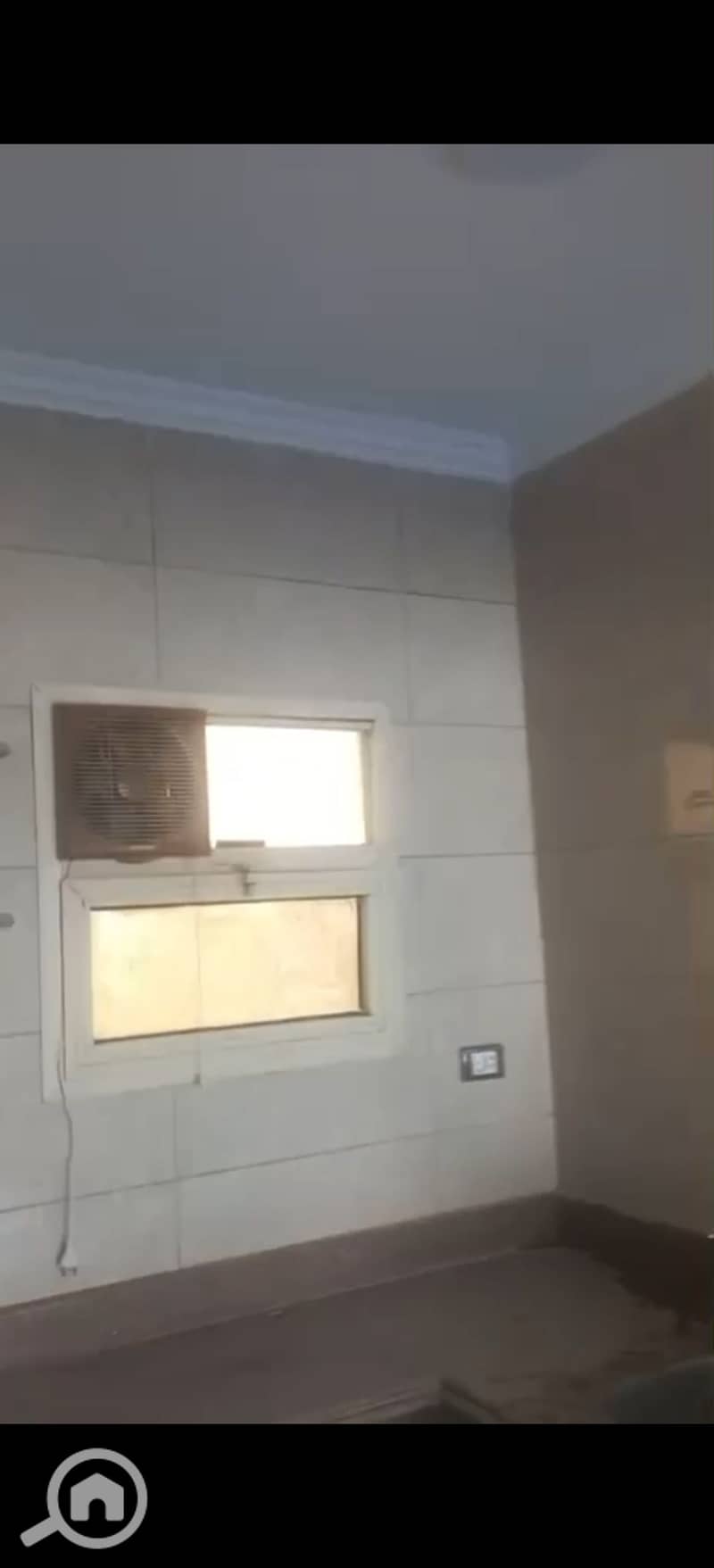 5 294372. jpg