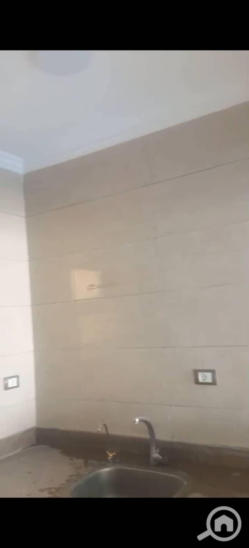 6 294371. jpg