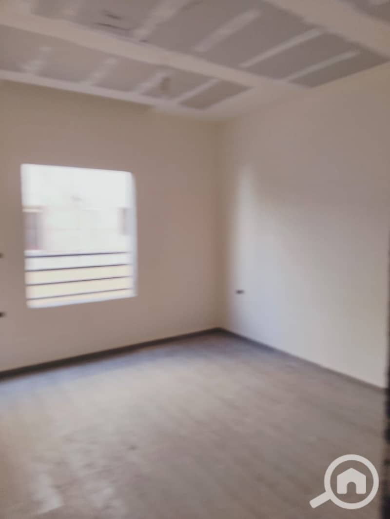 5 294412. jpg