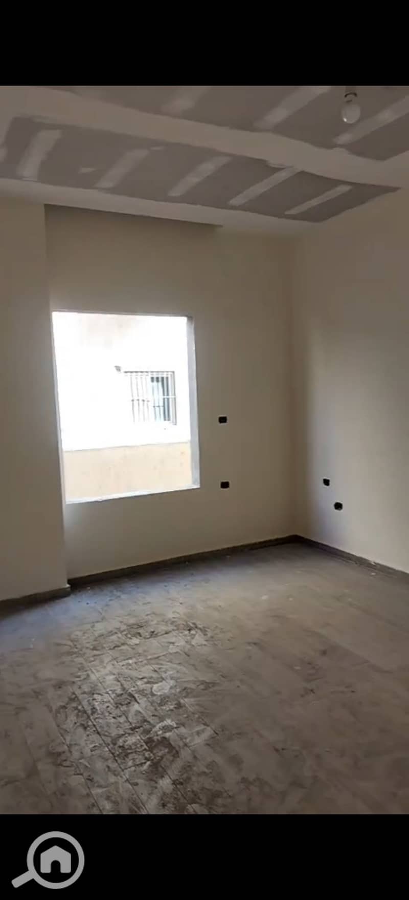 9 294391. jpg