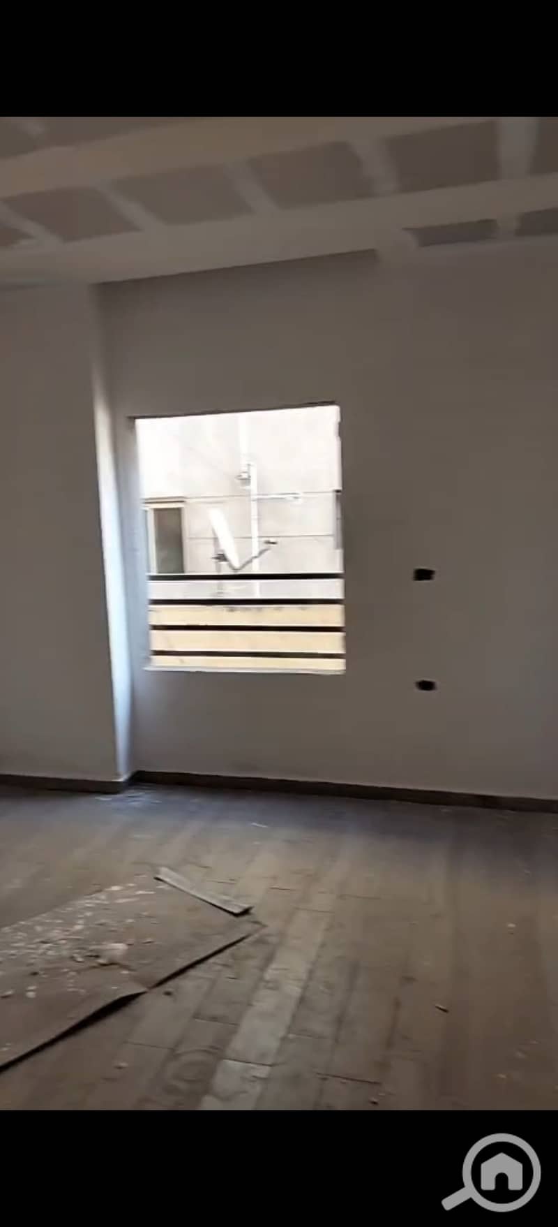 10 294390. jpg