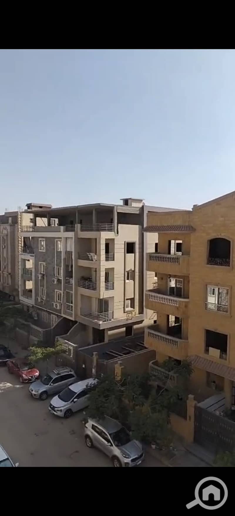 3 294471. jpg