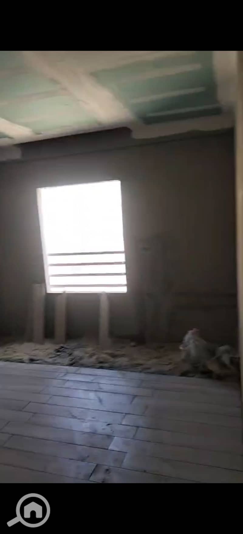 7 294461. jpg