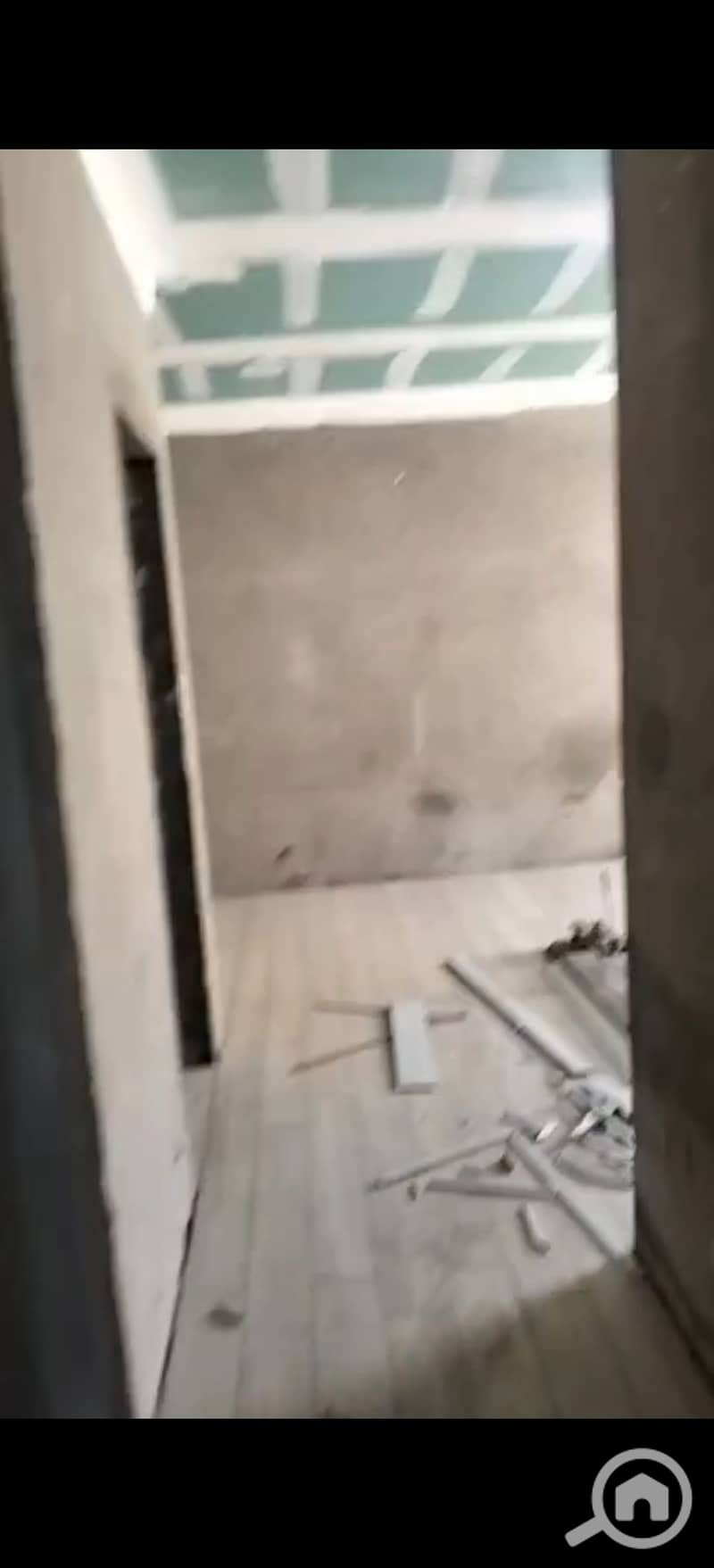 8 294460. jpg