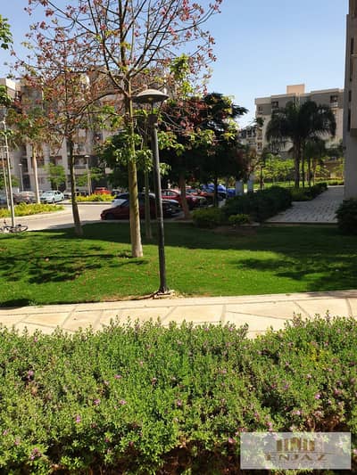 3 Bedroom Flat for Rent in Madinaty, Cairo - 2. jpeg