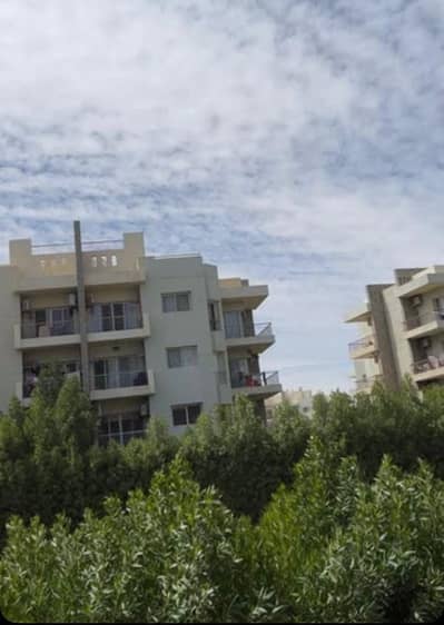 شقة 3 غرف نوم للبيع في الشيخ زايد، الجيزة - WhatsApp Image 2026-07-26 at 20.58. 08 (1). jpeg