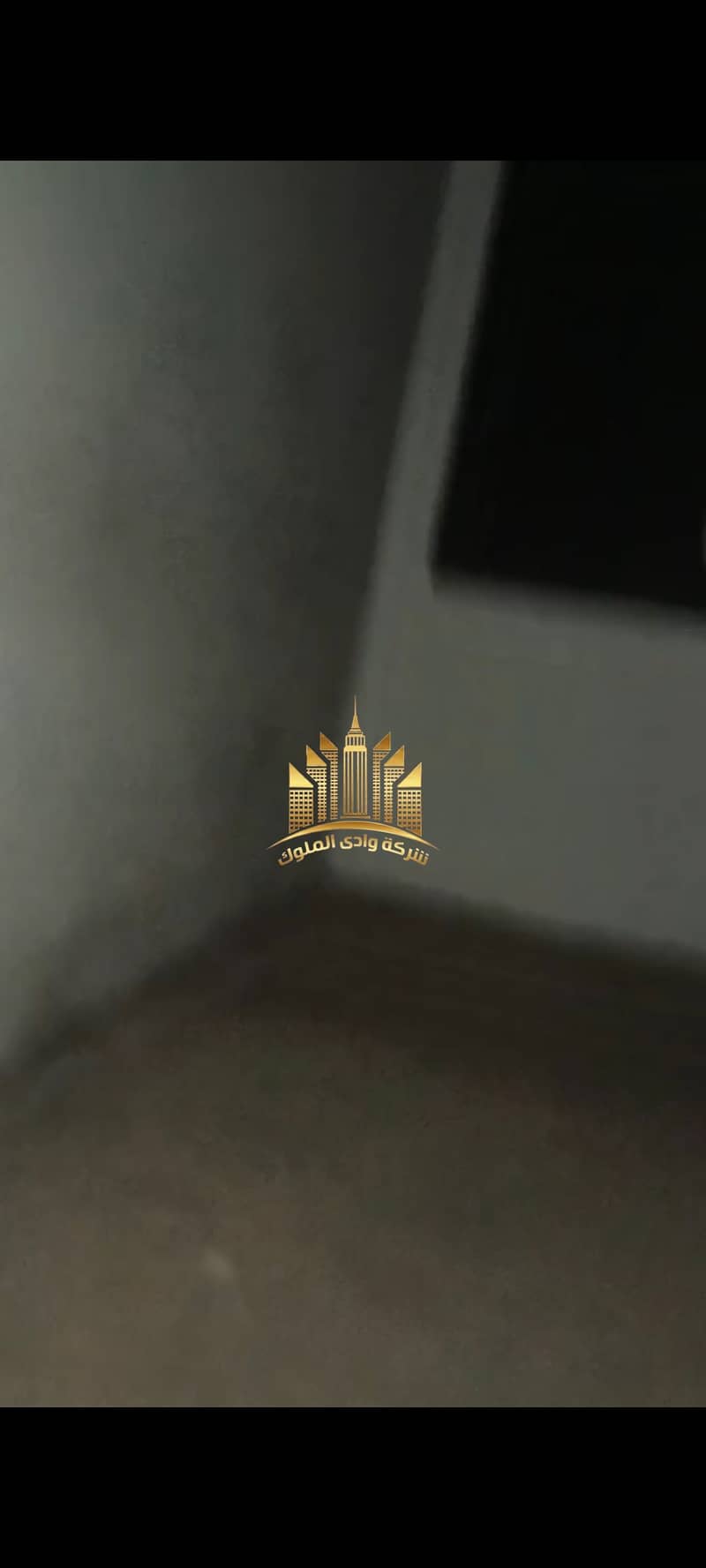 5 1001055165. jpg