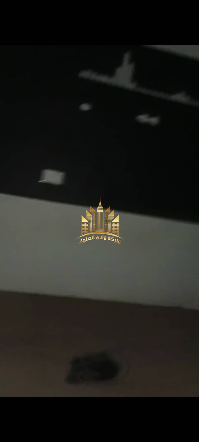 6 1001055166. jpg