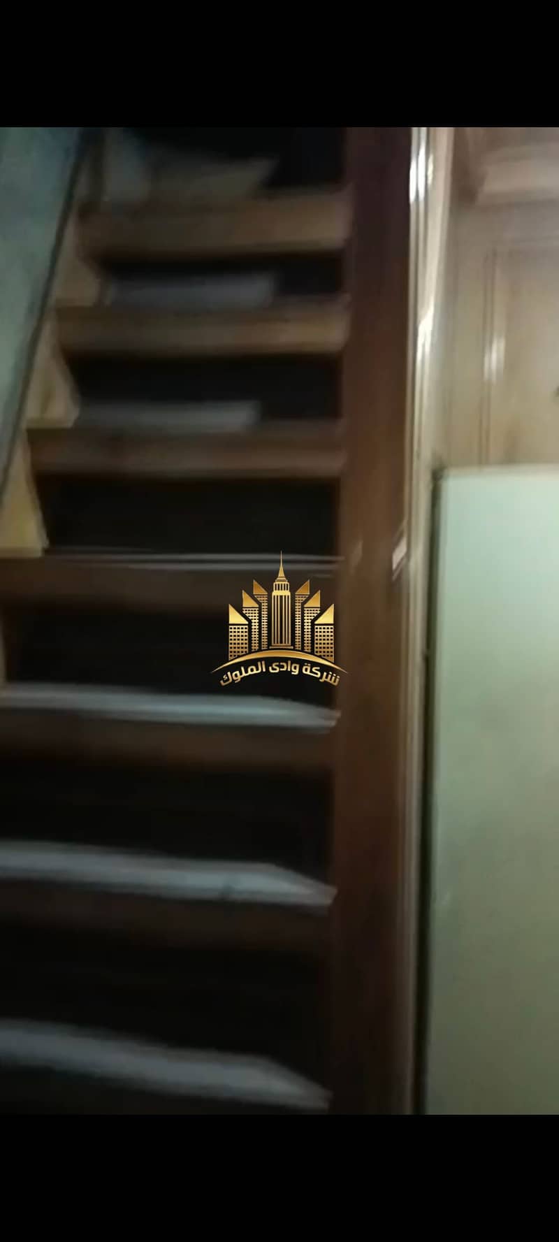 7 1001055164. jpg