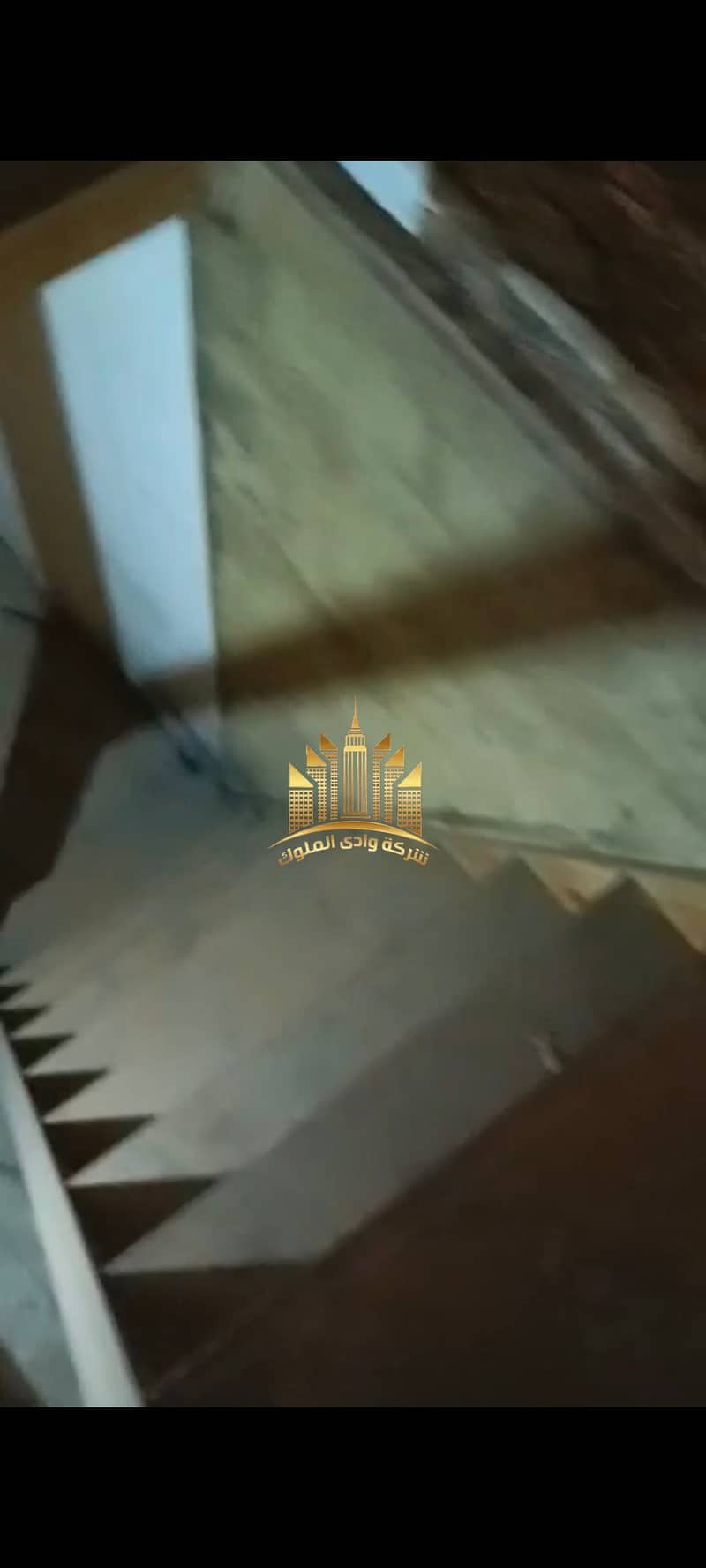 9 1001055171. jpg