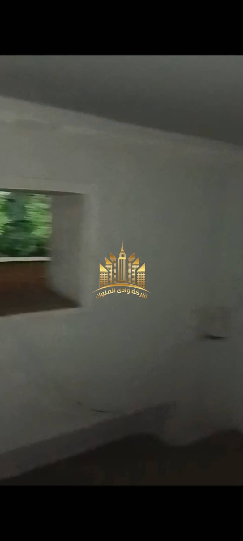 10 1001055169. jpg