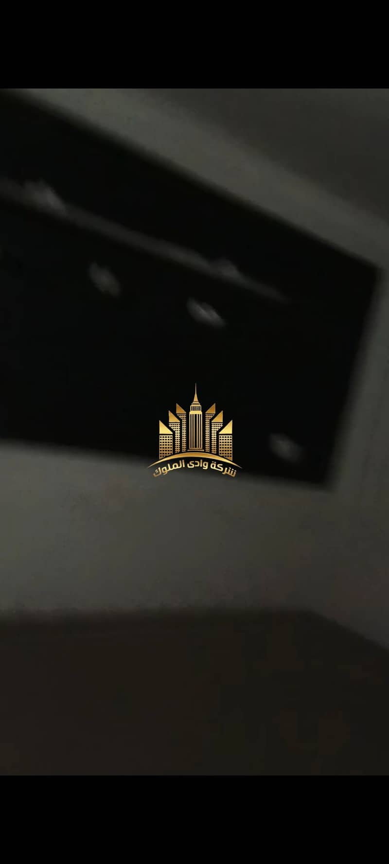 13 1001055167. jpg