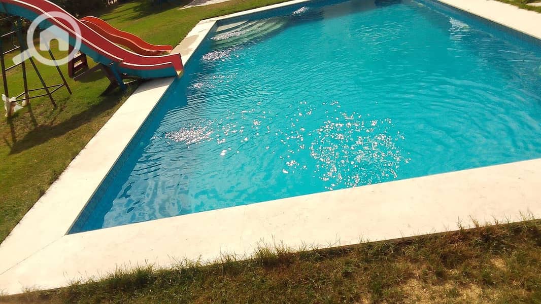 5 51068. jpg