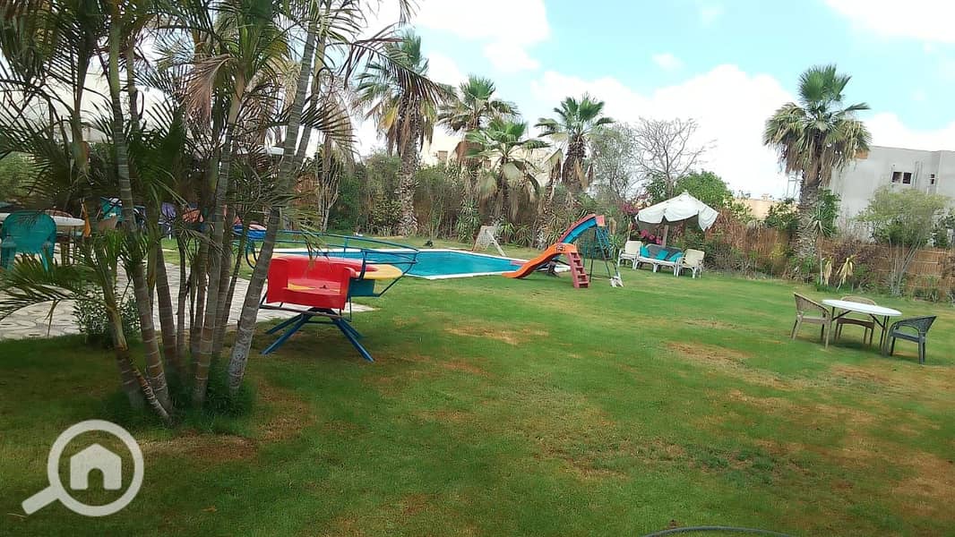 6 51069. jpg