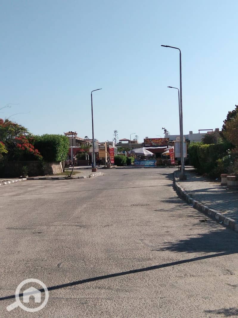 14 1000313735. jpg