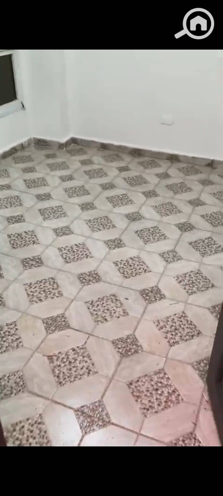 5 1000067105. jpg
