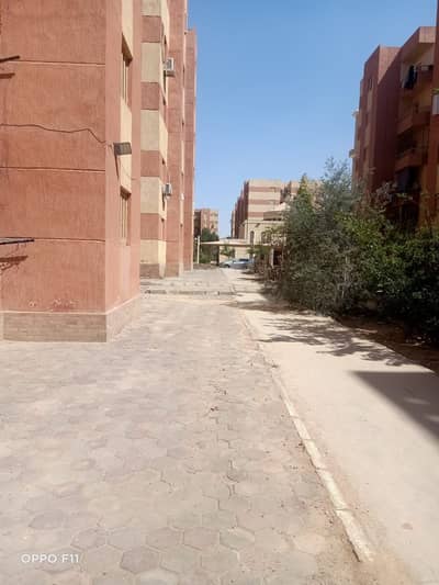 3 Bedroom Apartment for Sale in Badr City, Cairo - شقة في مدينة بدر