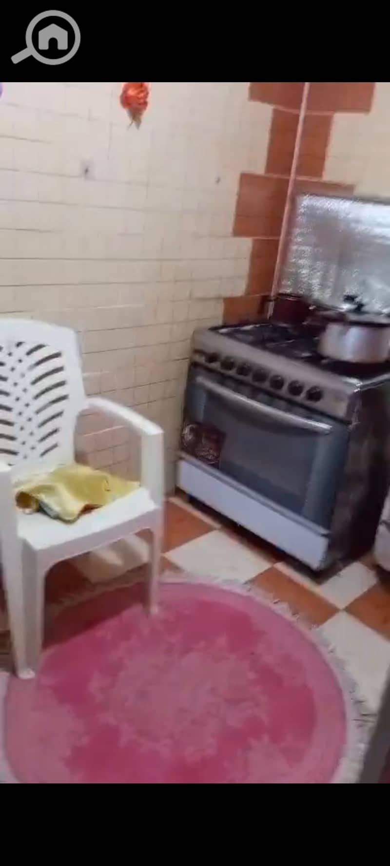 5 54537. jpg