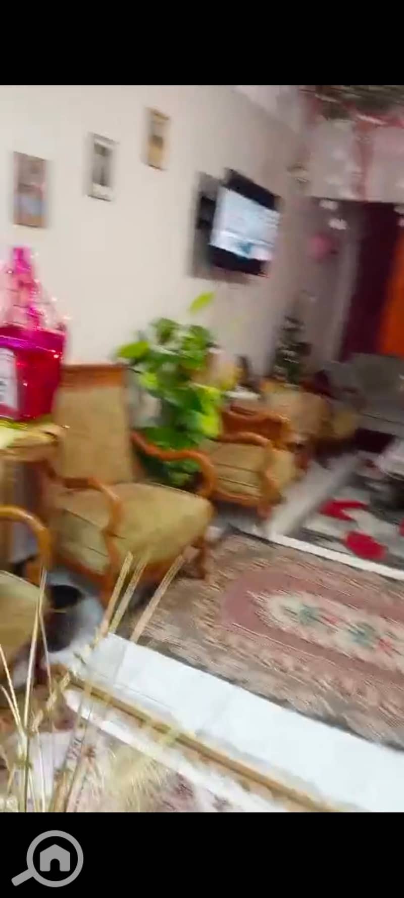 26 54516. jpg