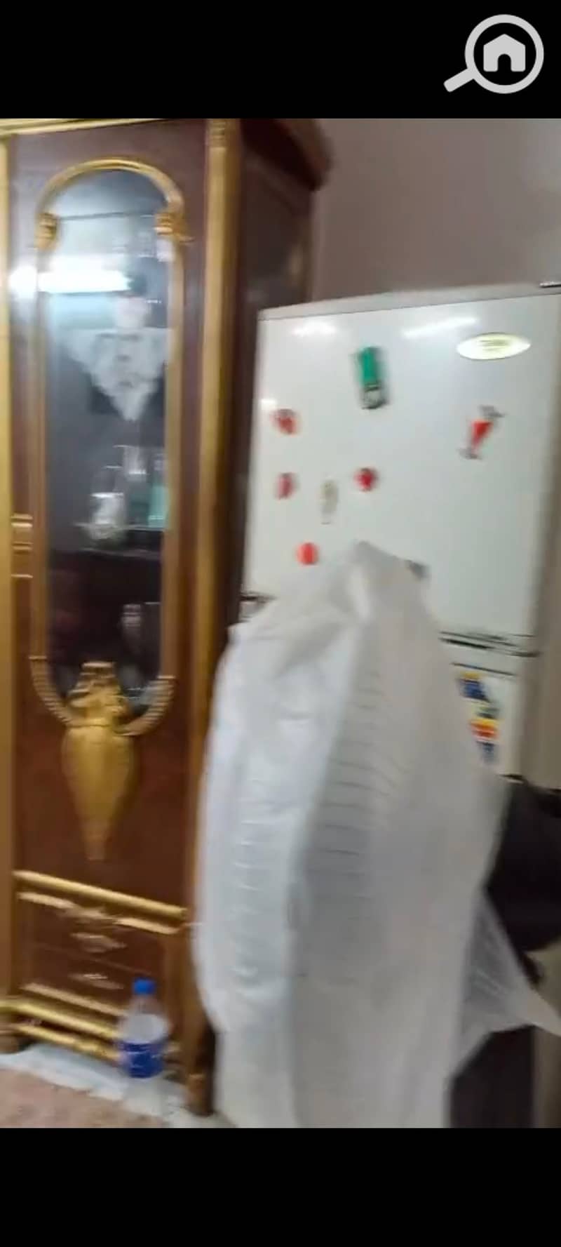 29 54511. jpg