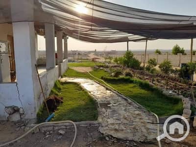 أرض زراعية  للبيع في 6 اكتوبر، الجيزة - IMG_1483. jpg