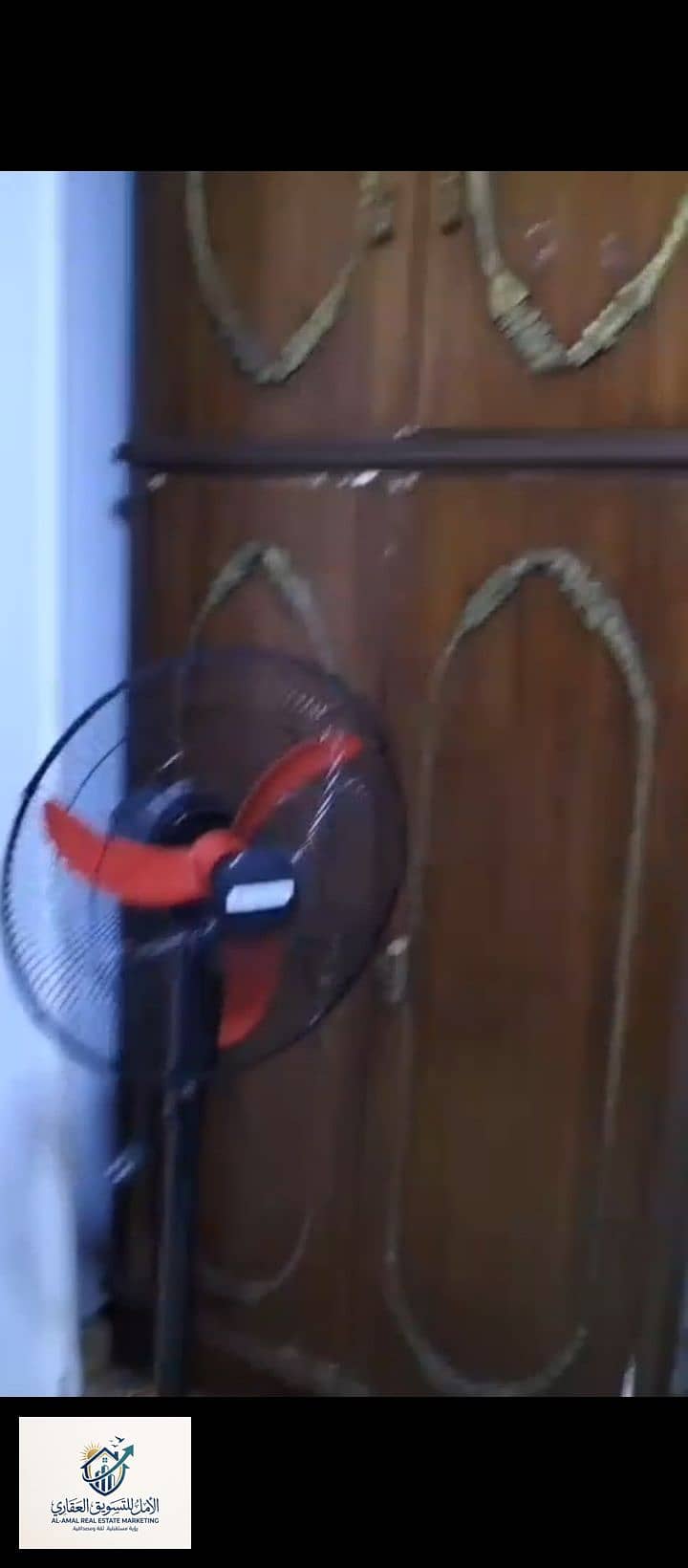 9 1000242465. jpg