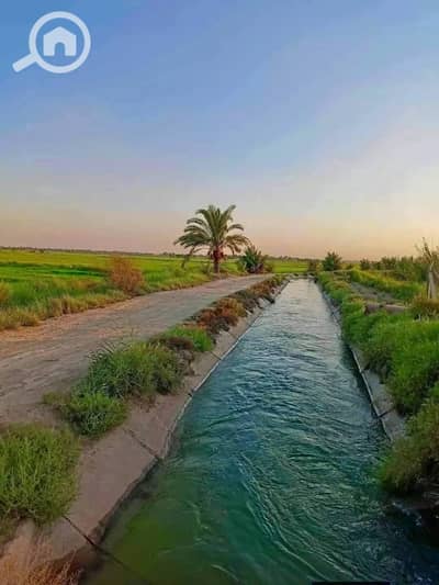 أرض زراعية  للبيع في 6 اكتوبر، الجيزة - 1000078307. jpg