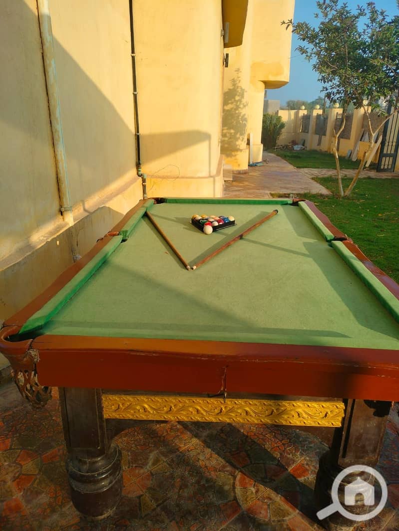 3 146165. jpg