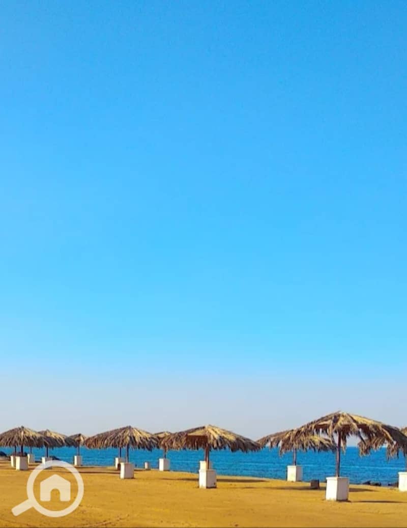 6 1000613748. jpg
