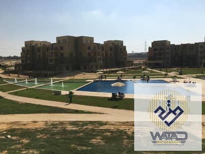 4 Bedroom Apartment for Rent in 6th of October, Giza - 1000338065. jpg 4 Bedroom Apartment for Rent in 6th of October, Giza - 1000338065. jpg