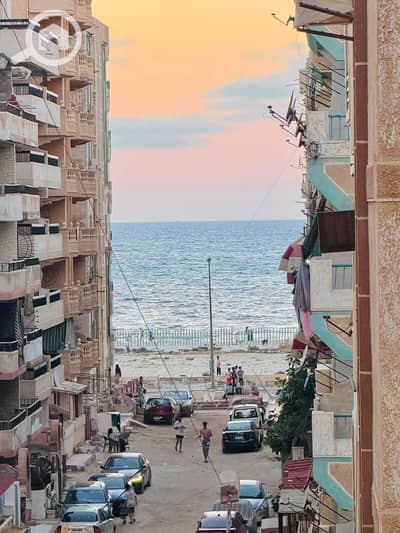 2 Bedroom Apartment for Sale in Nakheel, Alexandria - 1000451483. jpg 2 Bedroom Apartment for Sale in Nakheel, Alexandria - 1000451483. jpg