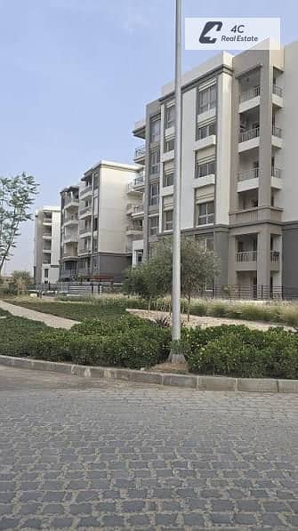 2 images (11). jpg