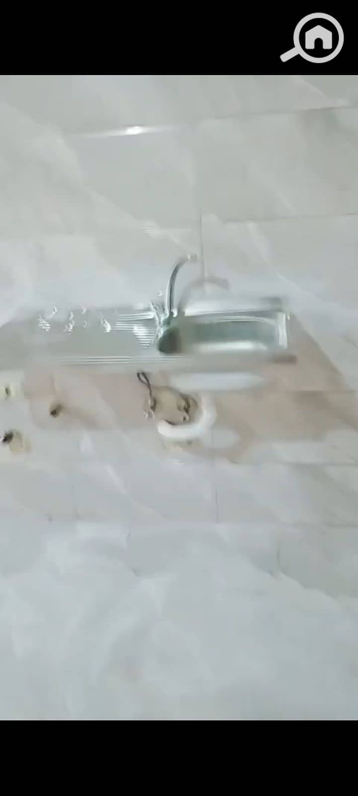 6 1000067280. jpg