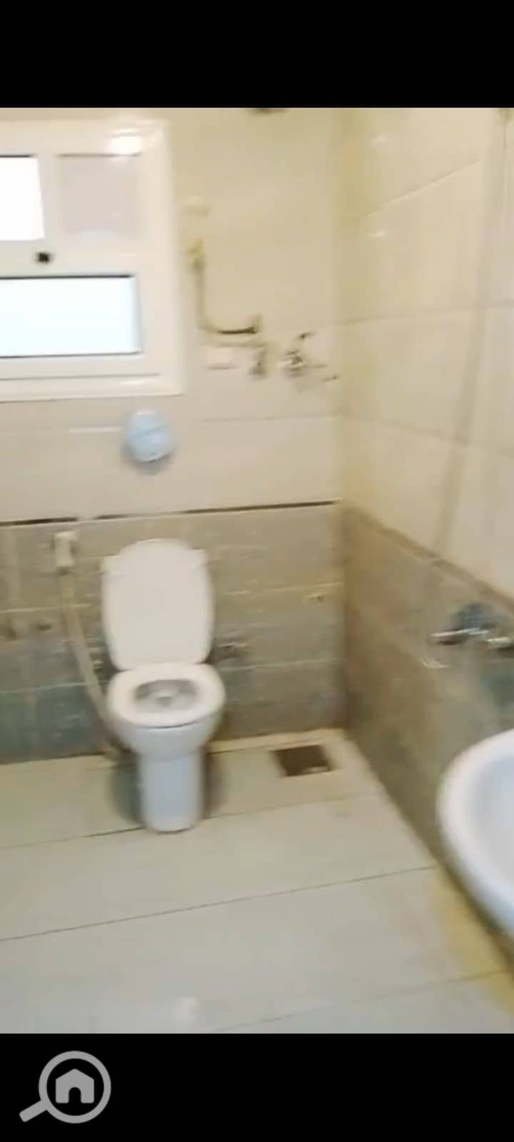 7 1000067282. jpg
