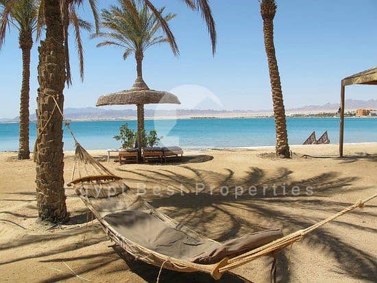 8 palm-royale-soma-bay. jpg