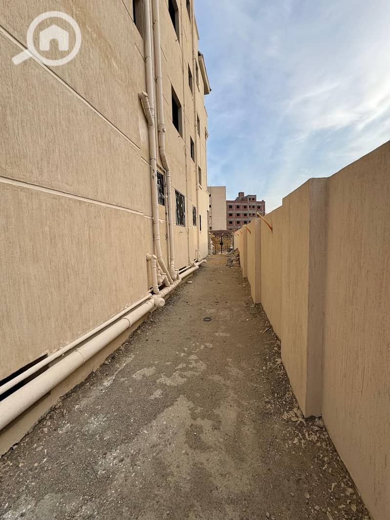 10 1000021955. jpg