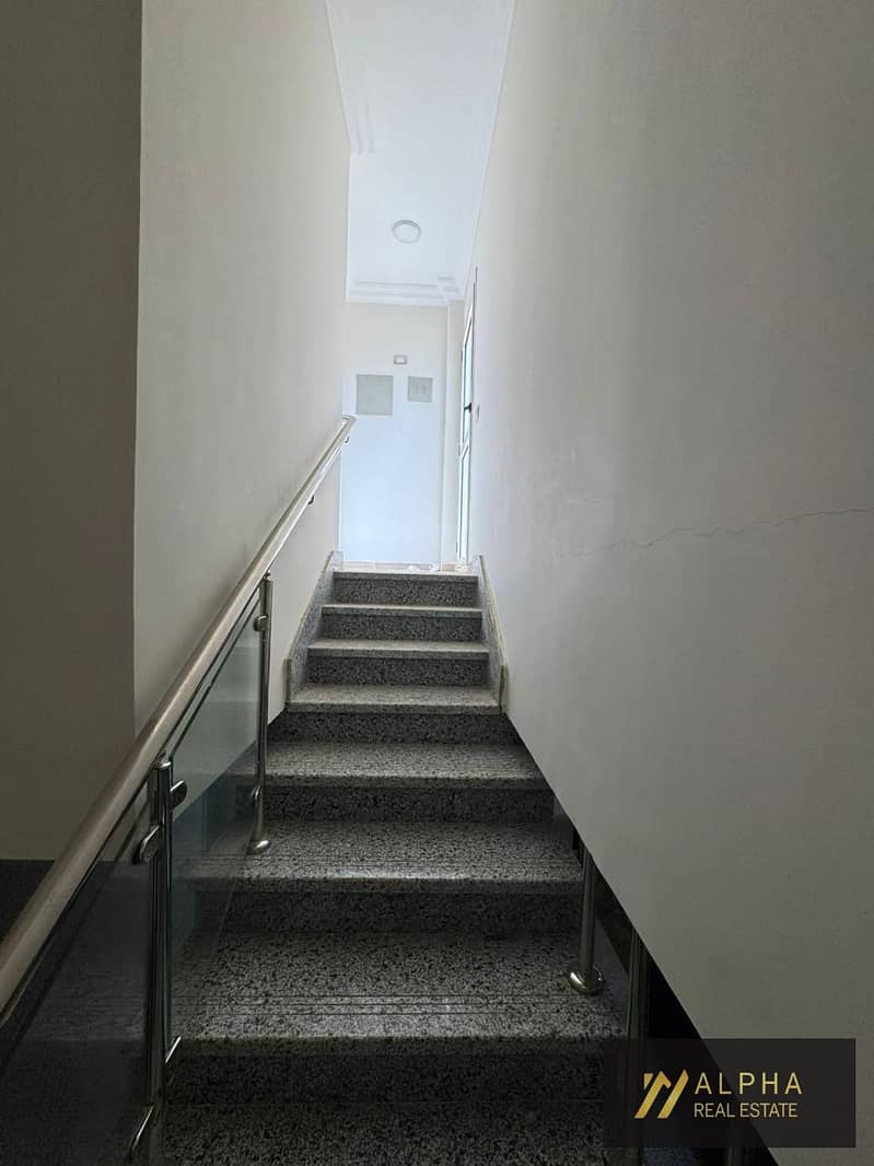 8 156240. jpg