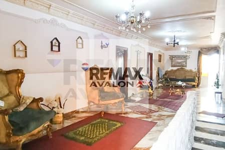 شقة 4 غرف نوم للبيع في كليوباترا، الإسكندرية - 5. jpg شقة 4 غرف نوم للبيع في كليوباترا، الإسكندرية - 5. jpg