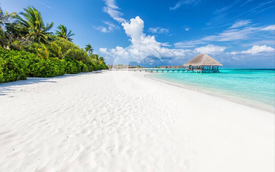 8 shutterstock_552951439. jpg